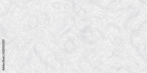 Tableau sur toile Contemporary Abstract Landform Elevation Texture Background With Smooth Contour