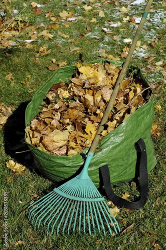 Autumn foliage and rake, gardening in autumn