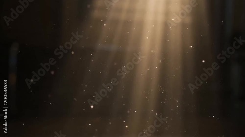 sunlight coming in through a window of a room