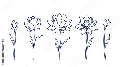 Schilderij op canvas Delicate line art lotus flower designs illustrating bloom and natural transforma