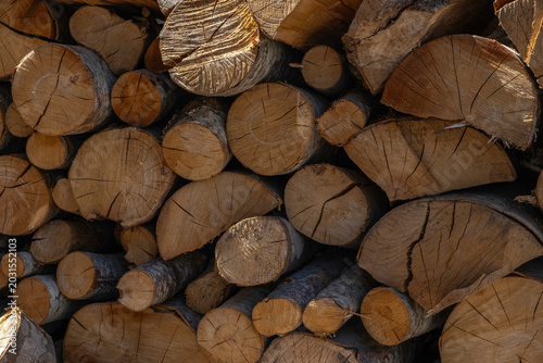 Firewood background. Wooden texture. Hardwood for winter.