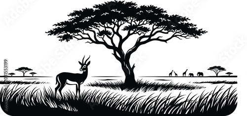 Photography Silhouette of African gazelle in savanna landscape with acacia tree, grass field