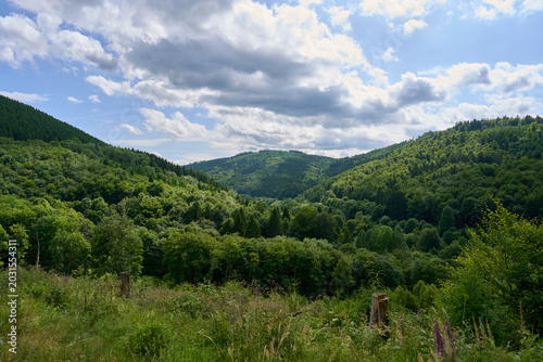 Beautiful view of summer green mountains in clear weather.