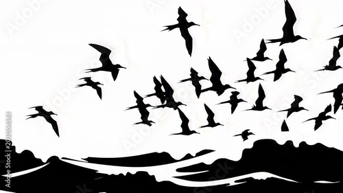 Flock of Birds Flying Over Ocean Waves Silhouette Animation Graphic for Digital Content Background