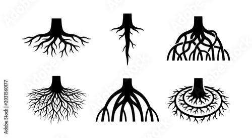 Schilderij op canvas Diverse Root Systems, Plant Biology Icons, Organic Growth Vectors, Nature Elemen