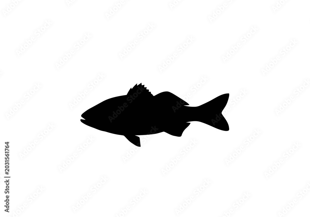 Obraz premium Black Silhouette of a Fish Swimming 1.