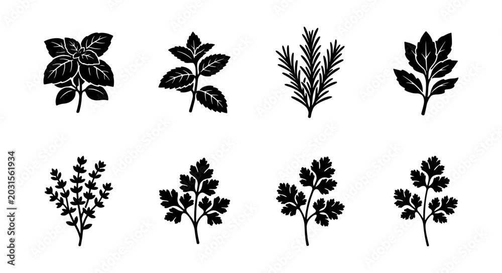 Fototapeta premium Herbs Vector Icons, Culinary Plants Silhouette Collection