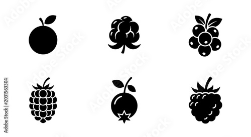 Black Berry Fruit Icons, Raspberry, Blueberry, Orange Vector Graphics Set