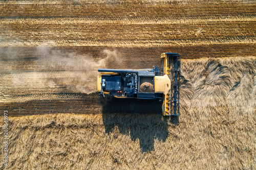 Foto Aerial top down view of combine harvester cutting wheat during the harvest seaso