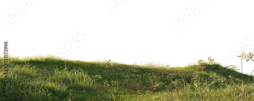 Obraz na plátně Grassy terrain edge with wild vegetation isolated on transparent background for environment design asset