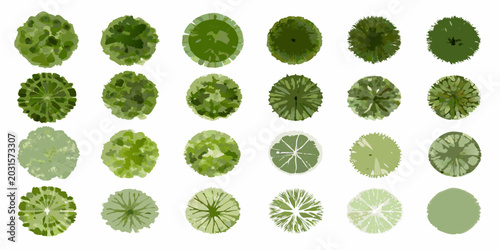 Konstfotografi Collection of aerial view tree canopies top down illustration on a white backgro