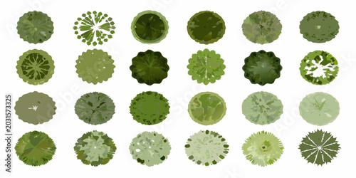 Foto Collection of aerial view tree canopies top down perspective isolated on white b