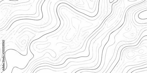 Schilderij op canvas abstract black contour lines creating a flowing wave pattern on white background