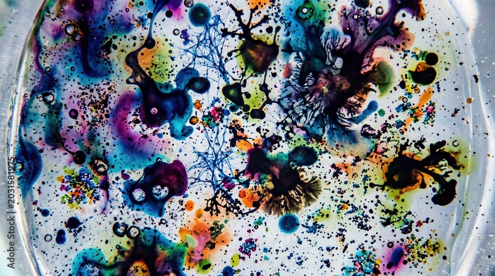 Naklejka premium Abstract Colorful Patterns in a Petri Dish Creating a Stunning Visual of Fluid Dynamics