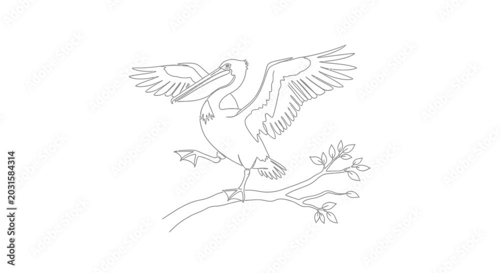 Obraz premium Pelican Perched on Branch with Wings Spread