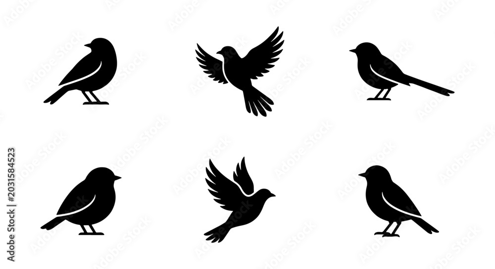 Obraz premium Bird Silhouettes Collection: Flying and Perching Avian Icons