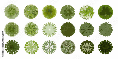 Quadro su tela collection of aerial view tree canopies top down perspective on white background