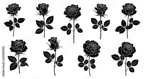 Photography Collection of black rose silhouettes with stems and leaves on a white background