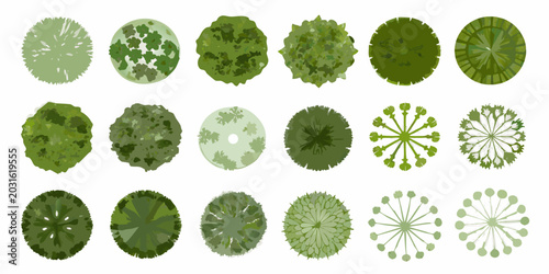 Fotografía Collection of aerial view tree canopies top down perspective isolated on white b