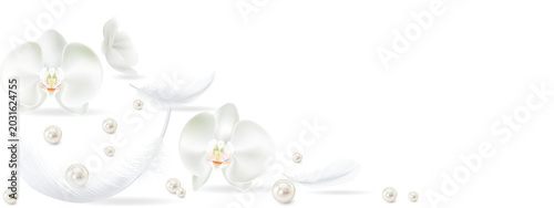Schilderij op canvas White orchids, white pearls, white feathers on a transparent background