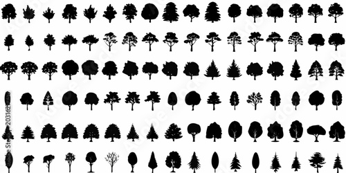 Schilderij op canvas collection of black tree silhouettes on a white background various shapes and si