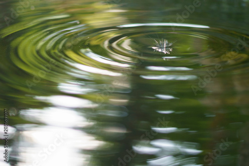 Abstract Water Reflection with Ripples