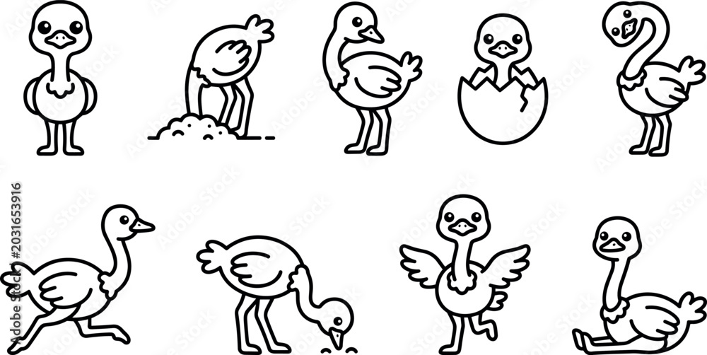 Obraz premium Cute Ostrich Character Line Icon Set Featuring Hatching Egg Head in Sand Running Eating and Dancing Poses for Children Coloring Books Vector