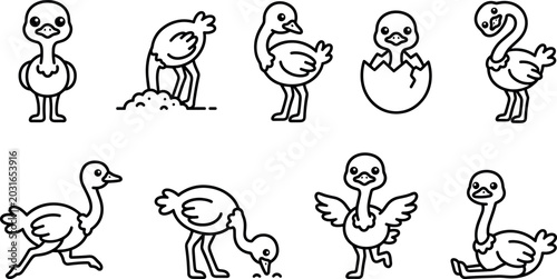 Photos Cute Ostrich Character Line Icon Set Featuring Hatching Egg Head in Sand Running