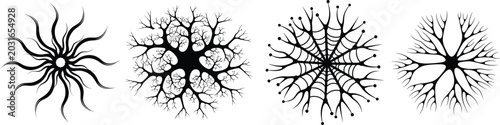 Vector neuron cells and neural network illustrations