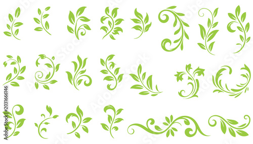 Green botanical flourishes for graphic design.