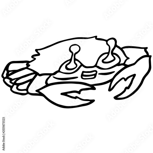 Hand drawn crab illustration