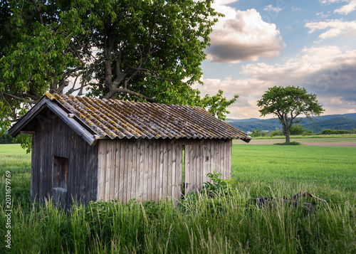Fotografia old rundown cabin at sunset in Burgenland