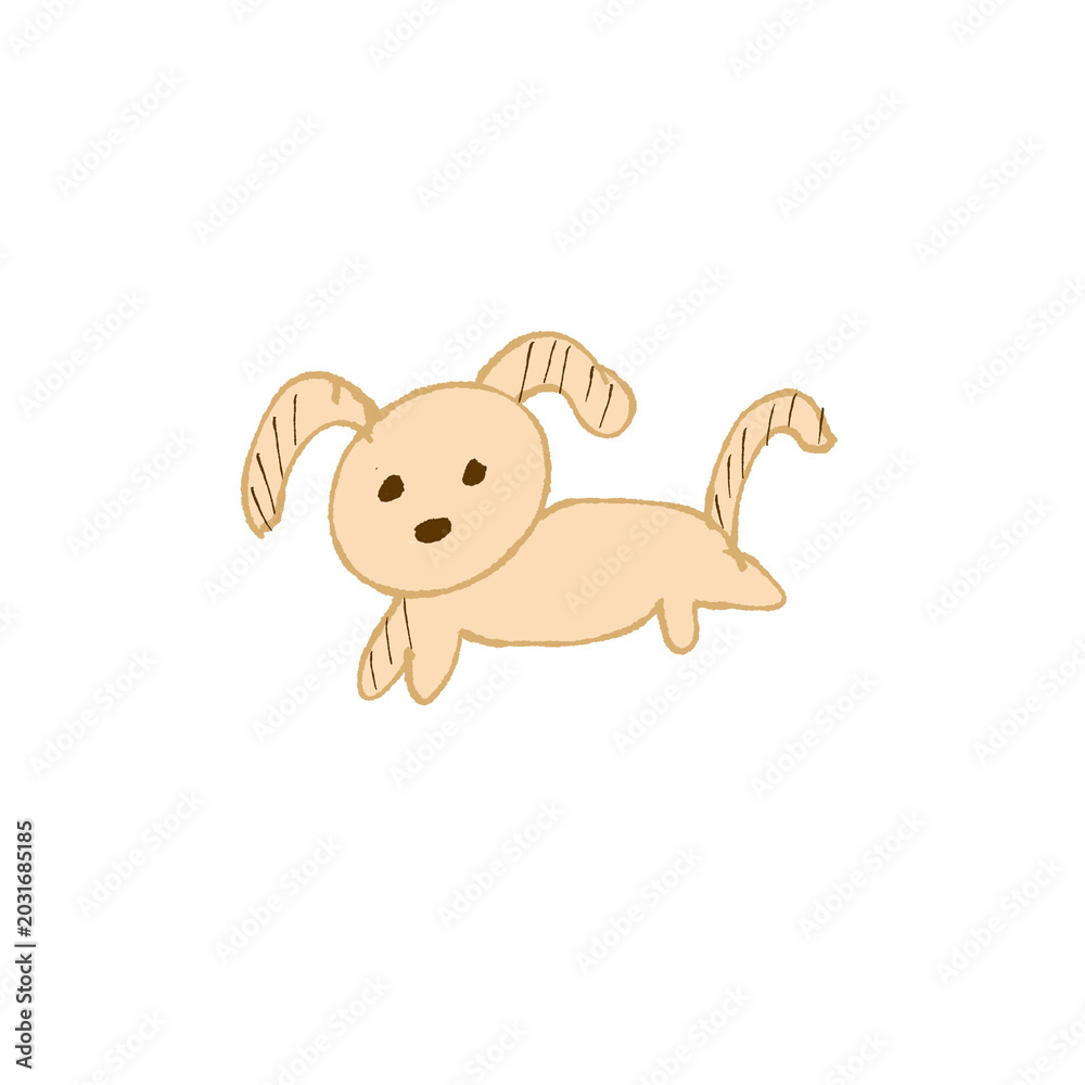 Fototapeta premium Dogs puppy brown