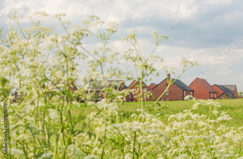 Photos New Build Houses UK Sustainable Housing Development with Wild Flowers Nature Bokeh Foreground, Real Estate Copy Space