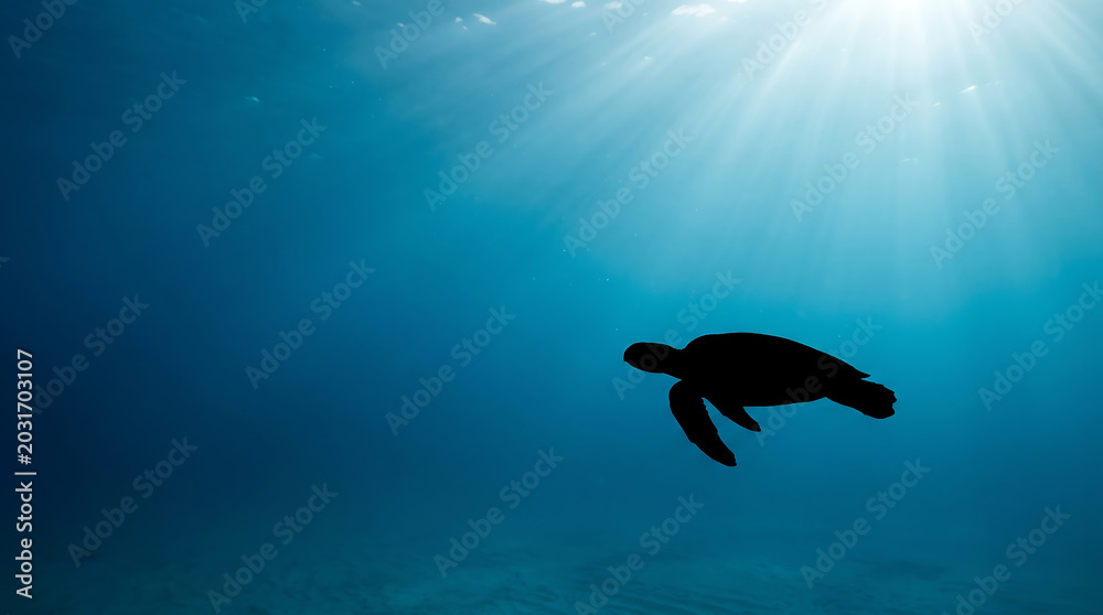 Fototapeta premium Oceanic sea turtle swims through sunlit waves near renewable energy concept ocean