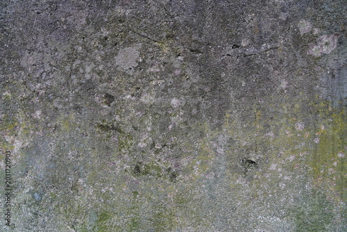 Lichen and moss covered stone texture background