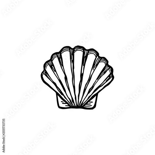Conch shell icon logo design. Seashell sign and symbol. Conch shell icon. Summer beach and ocean life design.