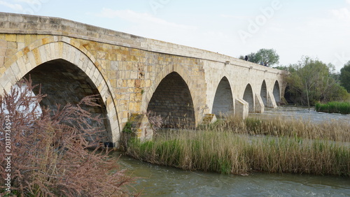 The Historical Bridge in Kesikköprü Village of Kırşehir on the Kızılırmak River and Its Surroundings