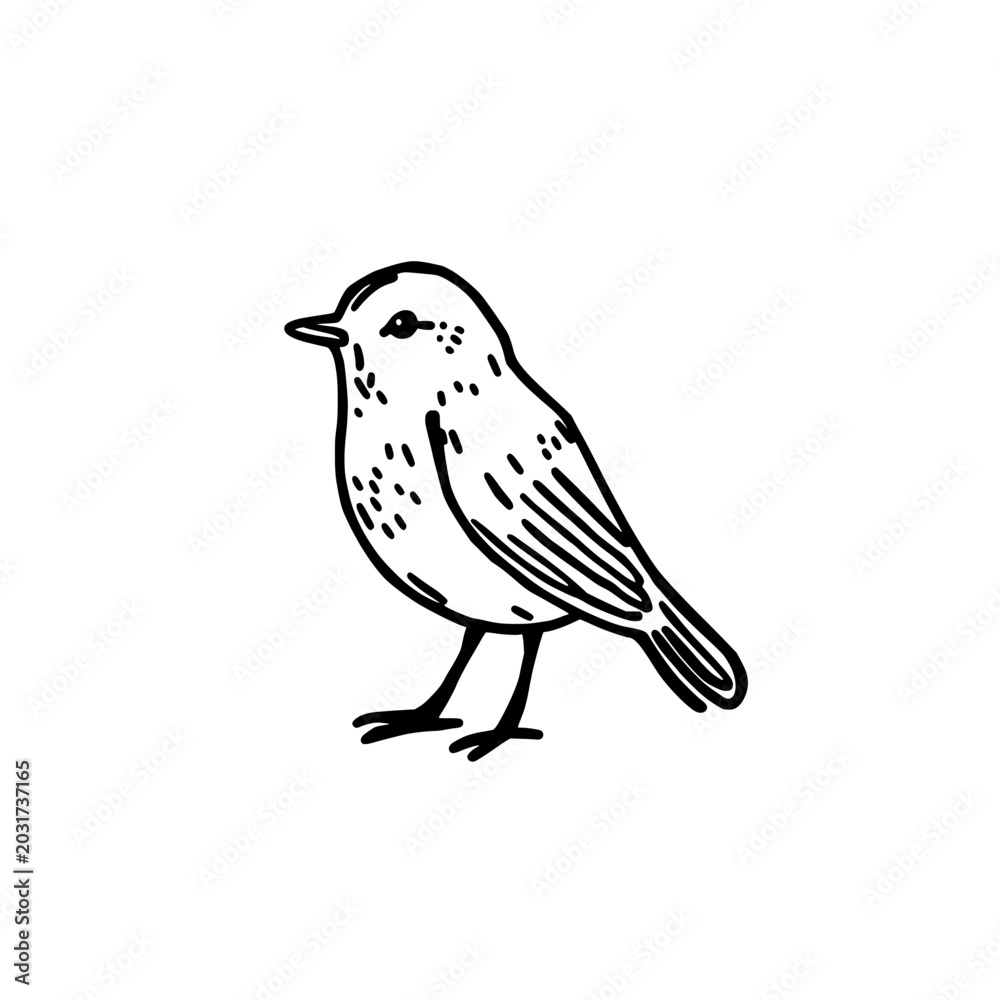 Fototapeta premium Robin bird icon logo design. Songbird sign and symbol. Robin bird icon. Hand drawn doodle style for nature branding.