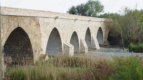 The Historical Bridge in Kesikköprü Village of Kırşehir on the Kızılırmak River and Its Surroundings
