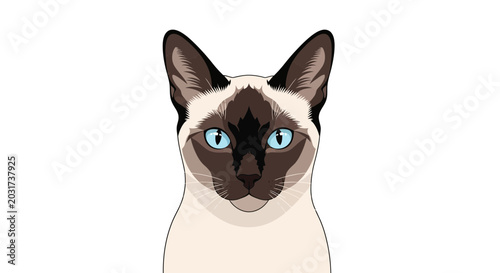 Fényképezés Siamese Cat Head Portrait Closeup.