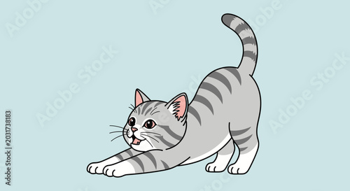 Photos Gray Tabby Cat Stretching Downward.
