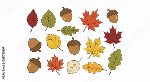 Assorted autumn leaves and acorns depicted in various colors
