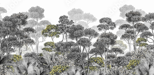 trees and plants