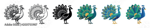 Peacock bird animal icons in different styles including sketch, outline, silhouette, flat, low poly, and isometric vector illustration