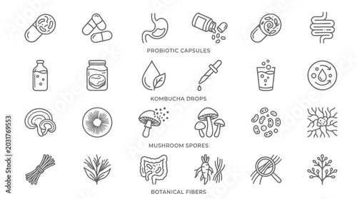 Collection of icons representing probiotics, kombucha, mushrooms, and botanical fibers for health and wellness.