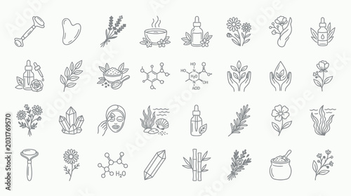 Schilderij op canvas Collection of line art icons representing natural beauty, wellness, and organic skincare ingredients