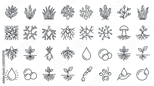 Quadro su tela Collection of line icons representing plants, roots, water drops, and scientific elements for biology and nature themes