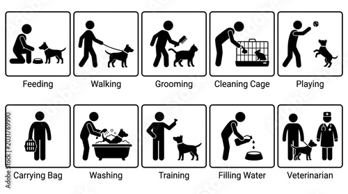 Dog care and maintenance infographic with various activities
