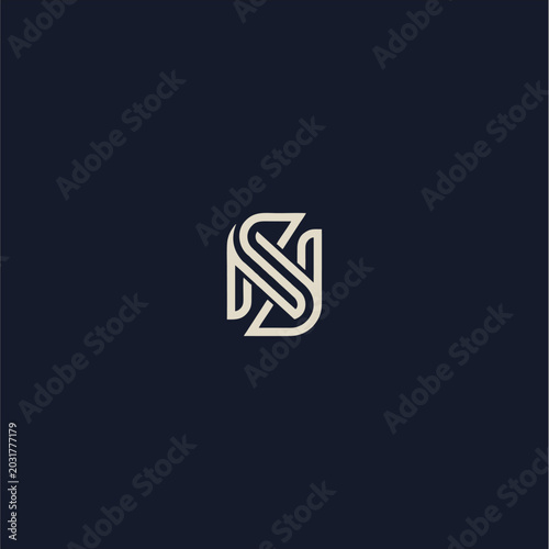 Modern SN Letter Monogram Logo Vector Design